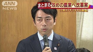 攻めの農業へ改革案　進次郎氏「ギリギリの調整」(16/11/25)