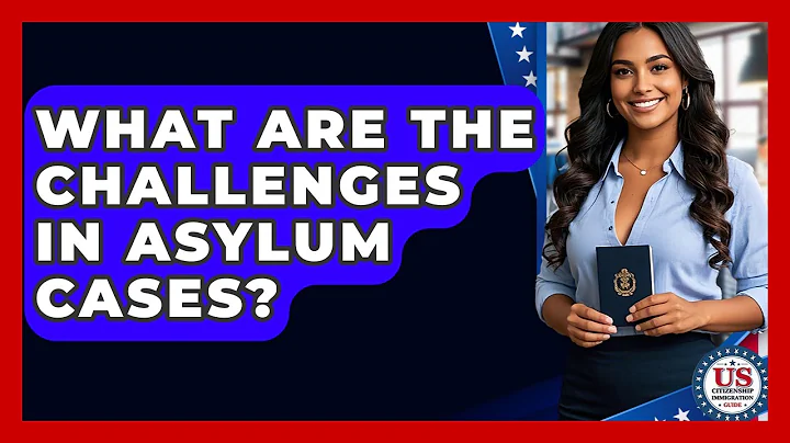 What Are The Challenges In Asylum Cases? - US Citizenship Immigration Guide