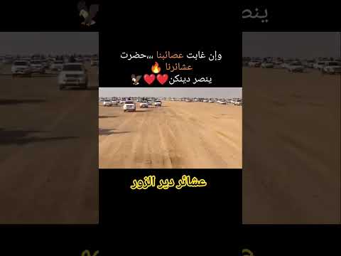 سباع العشائر دير الزور