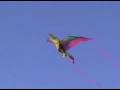 3-D Nylon Toucan Kite