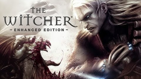 The Witcher: Enhanced Edition Gameplay Walkthrough // Playthrough Chapter V (5) & Epilogue - Part 14