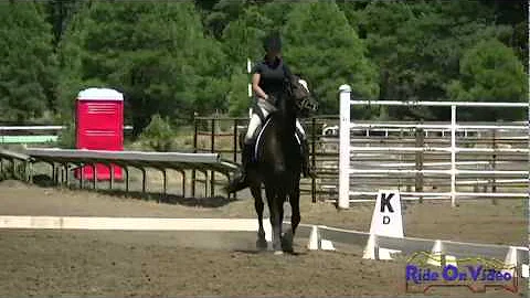 Stewart Griffin 5 Year Old Future Event Horse - Ha...