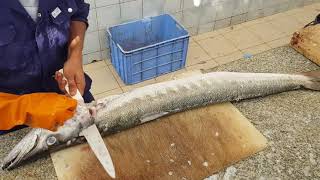 King Barracuda Fish Filleting Skills in Asia। Worlds Best Fish Cutting Skill। Barracuda Fish Cutting