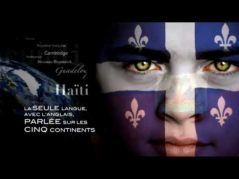 Cosmopolite 1 - Video 1