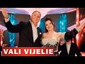 Ref:PbwjyTRSDv8 Vali vijelie   nicoleta ghelase - fericirea (official video) 2026