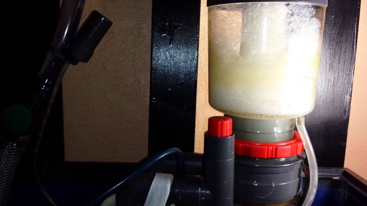 How to setup a Coralife Skimmer YouTube