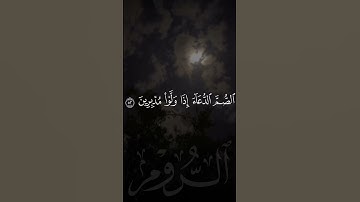 تلاوة من #سورة_الروم بصوت #محمد_العباسي من #المسجد_الأقصى #الأقصى