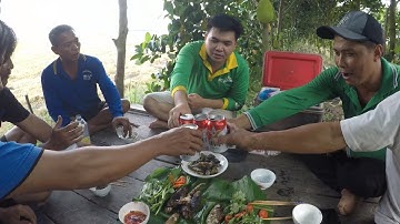 T90. Ngày Câu Cá Rô Đồng Nướng Ăn Tại Chổ Cùng Chú Bác Anh Em Tại Đồng Quê 