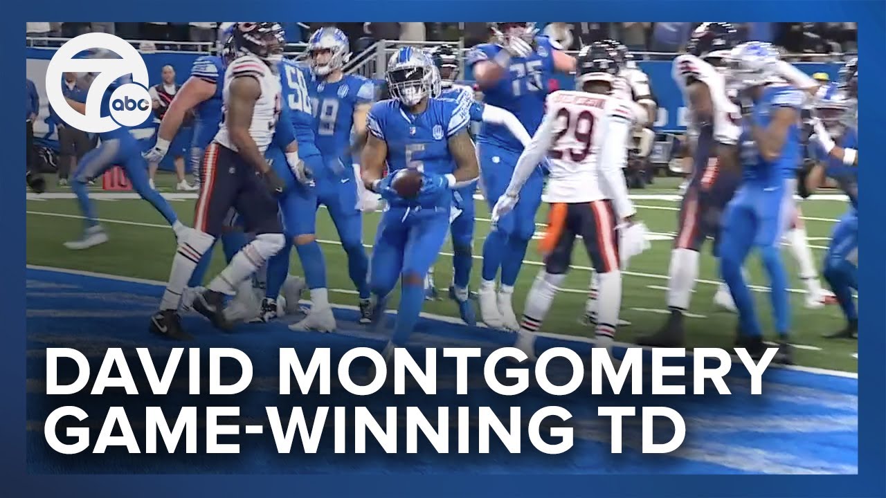 Lions' David Montgomery: Scores another touchdown