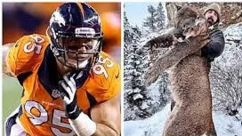 Ex-NFL player takes down 200-pound mountain lion with just a bow and arrow - United States News