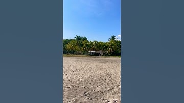 Boost Your Productivity: A Digital Nomad