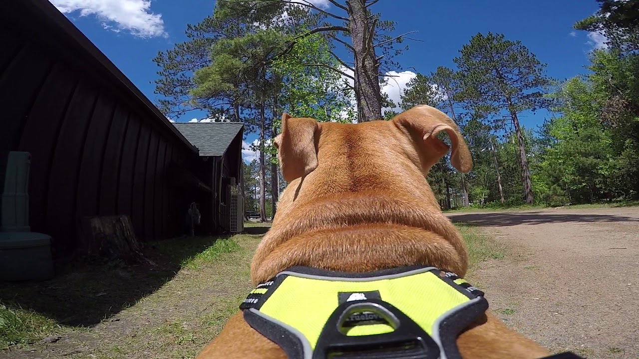 Adventuresofpuppyanderic Our first video ever installed the homemade