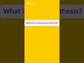What Photosynthesis Definition Of Photosynthesis Photosynthesis Ki Photosynthesis Kake Bole 