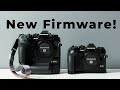 New Olympus FIRMWARE - [BIRD Detection is here!]