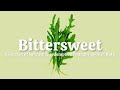 Bittersweet: Ruth 3
