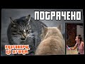 Потрачено. Разговоры по душам. Лучшие приколы, смешные видео и фейлы