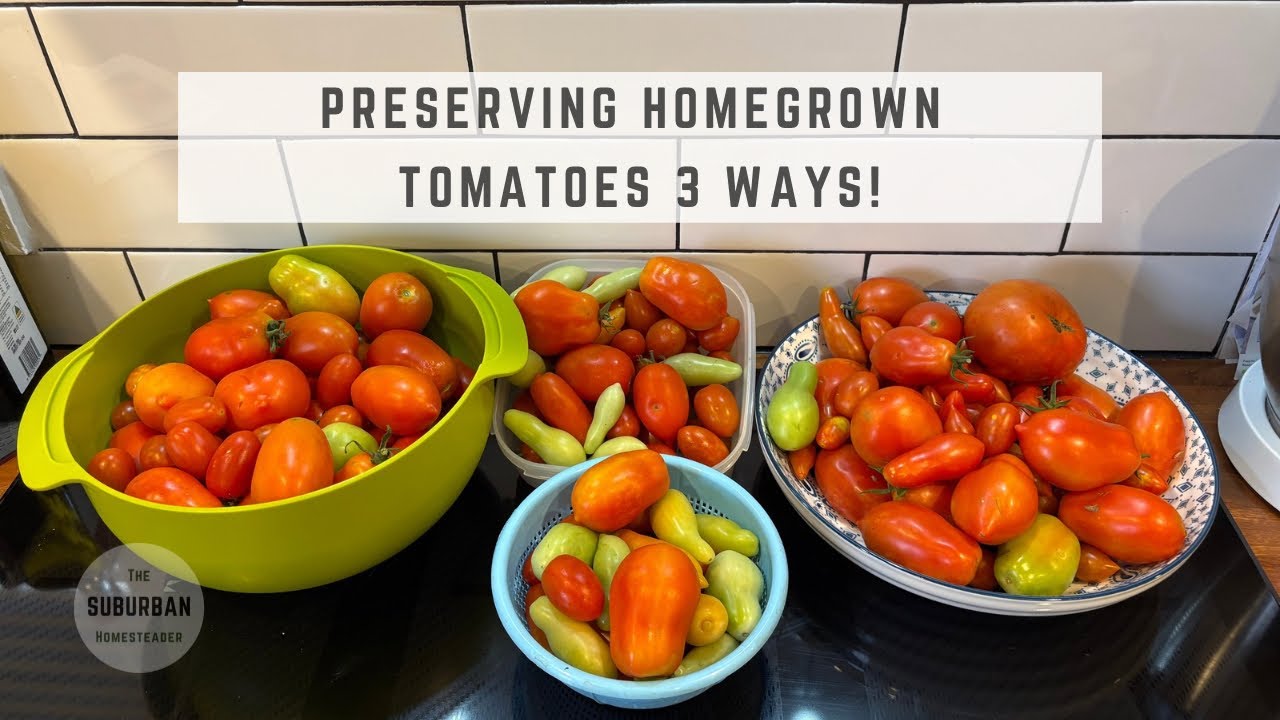 From Garden to Pantry: Preserving a Massive Tomato Harvest 3 Ways