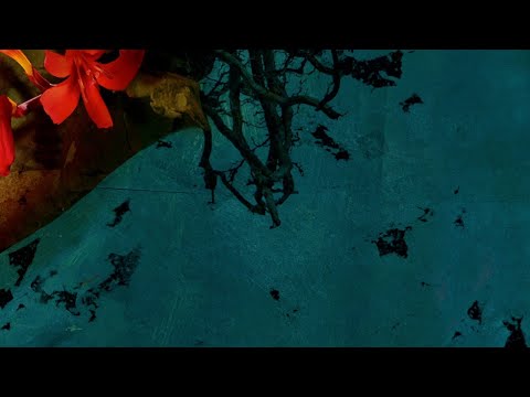 Parra for Cuva (ft. Bijou) - On a Life (15th Anniversary - Project: Mooncircle, 2017)