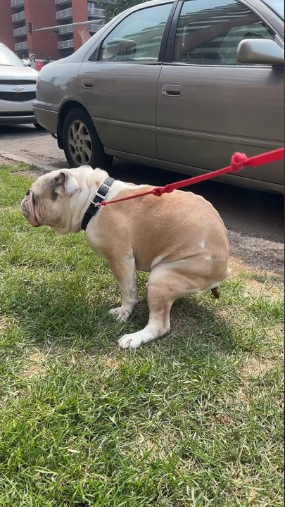 Ewww #eww #ewww #ewwewwg