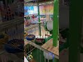indoor playground near me for adults,indoor play ideas for toddlers,adventure play center kiddie