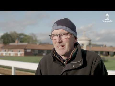Tattersalls October Yearling Sale, Book 3 Day 1 2019