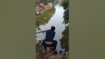 Người đàn ông phóng sinh con cá chép vàng ngày 23 tết #tiktok #poultryfarming