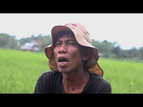 SHORT DOKUMENTER I PETANI NEGERI AGRARIS