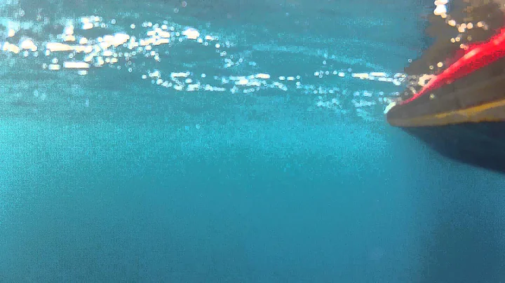 tuna3 005