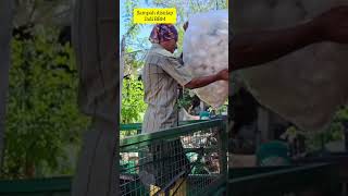 Sampah plastik diolah jadi bensin 3 jenis BBM #SampahPlastikJadiBBM #PlastikJadiBensin