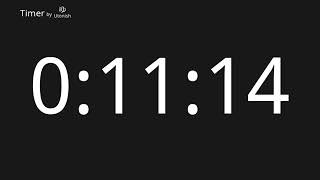 9h99m99s Countup Timer. 9s99dk99s Saymak.