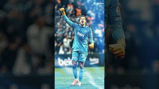 ederson #ederson#fenerbahçe#fenerbahçe#ytdayibeniönecikarnolur #benkomanapalli #fatih #alightmotion