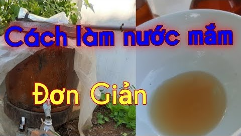 Cách làm nước mắm nguyên chất - gia truyền - cá cơm - truyền thống