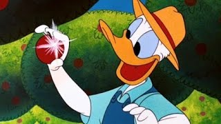 Donald Duck, Goofy \& Pluto Cartoon FUNNY Episode