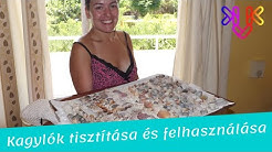 Kagylók tisztítása és felhasználása | 8 kreatív kagylós ötlet