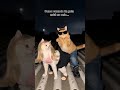 Pero estos elementos no pierden el tiempo #salsa #humorviral #para ti