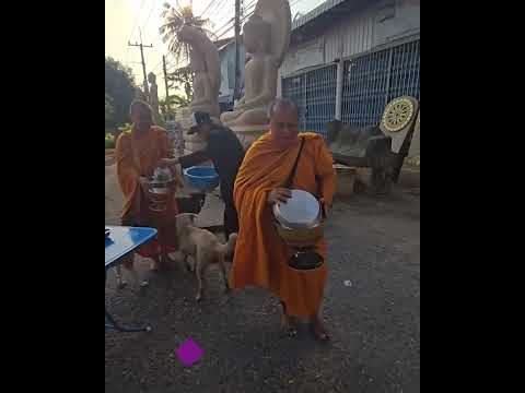 รับพลังพุทธานุภาพร่วมกันค่ะใส ทำโอที หลังจากเสร็จ นี้พักปอดยาวค่ะ พระแม่กวนอิม0860528854 พระแกะสลัก0860528854