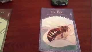 Free oracle card reading for w/c 26th May 2014