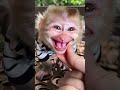 سيكو سيكو رقص اغاني العريفي السالمي البنكرياس موسيقى الحياني تيك توك Music اكسبلور سيكو سيكو رقص اغاني العريفي السالمي البنكرياس موسيقى الحياني تيك توك Music اكسبلور