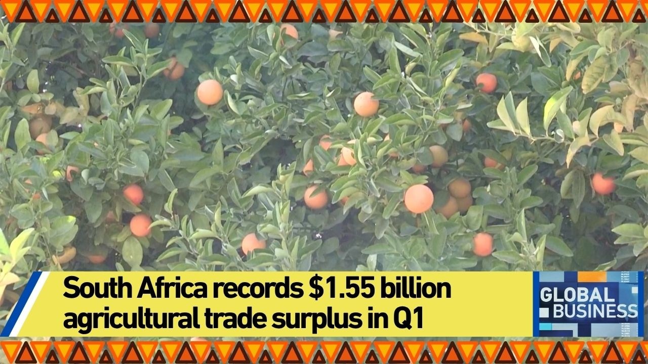 South Africa records .55 billion agricultural trade surplus in Q1