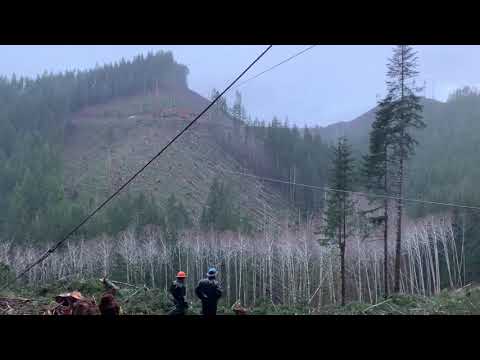 Olympic Peninsula logging