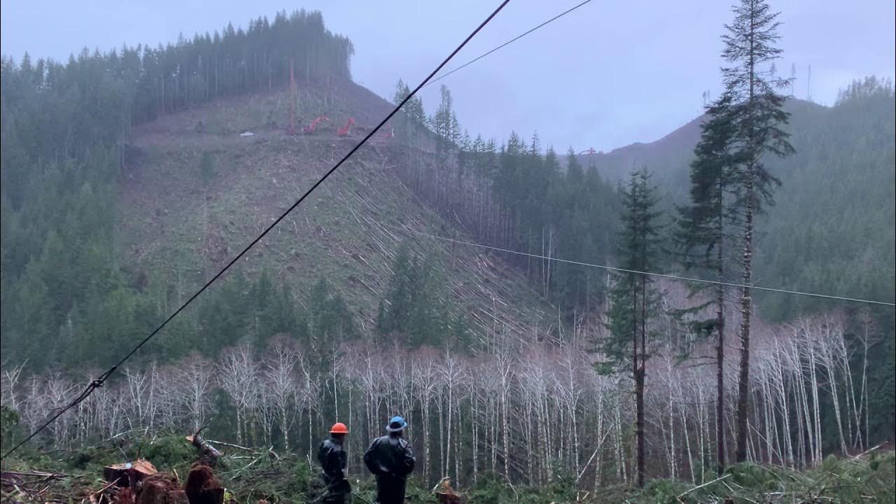 Olympic Peninsula logging - YouTube