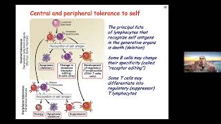 Lesson 16: T Cells