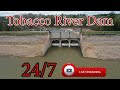 Tobacco River Dam - Michigan - 24/7 HD Live Stream