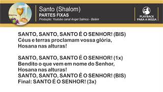 Vignette de la vidéo "SANTO (Comunidade Shalom) - PLAYBACK - Por Angel Salmos - Belém"