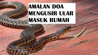 Doa MENGUSIR ULAR Masuk Kedalam Rumah