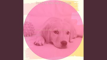 Pulsating Separation Anxiety