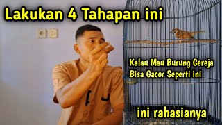 CARE FOR SPIRIT BIRDS SO THAT THEY CHOIR WITH YOUR HAND