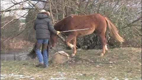 Jonathan Field and Noel: Part 2  ( First session )