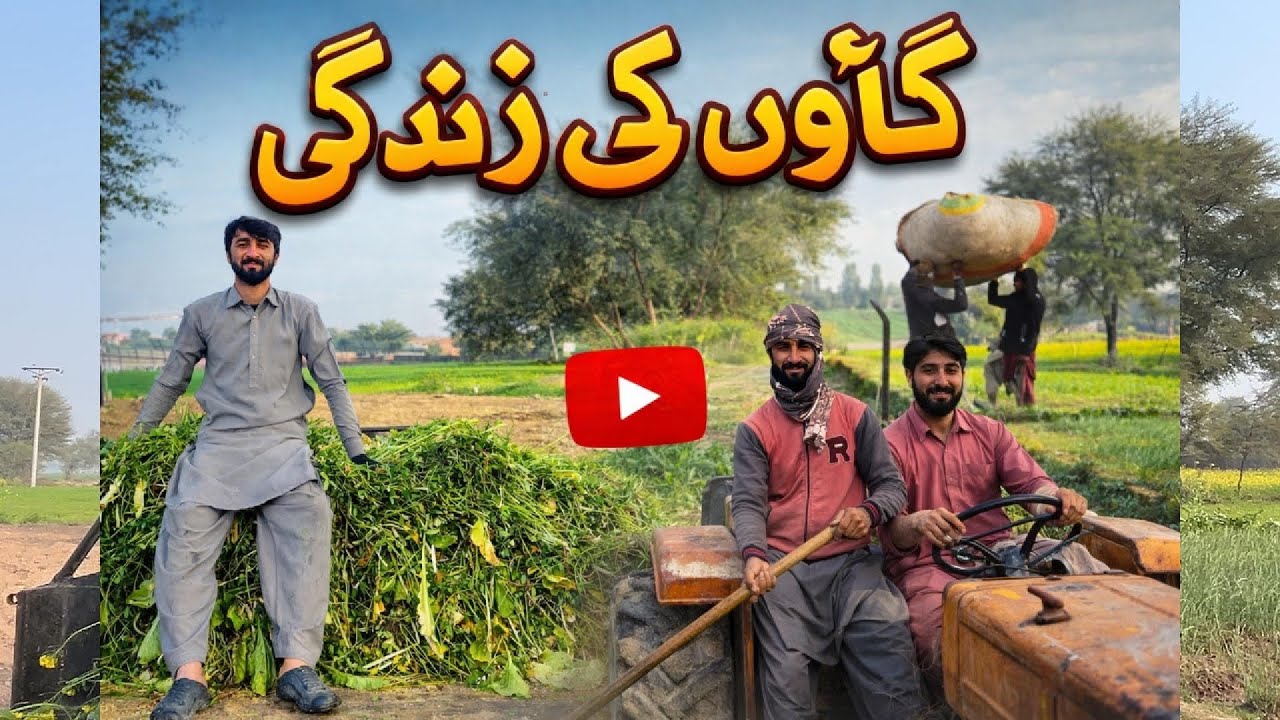 Pure Village Vibes | Gaon ki Simple Life