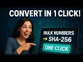 SHA-256 Hashing: Bulk Numbers को कैसे बदलते हैं?